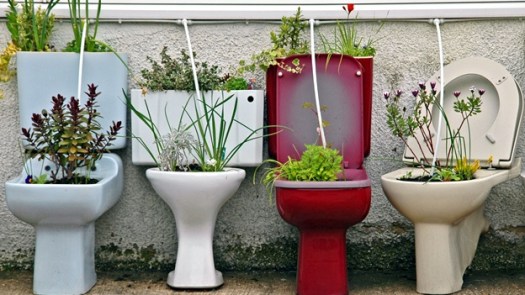 toilet-wc-excusado-maceta-decoracion