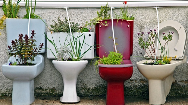 toilet-wc-excusado-maceta-decoracion