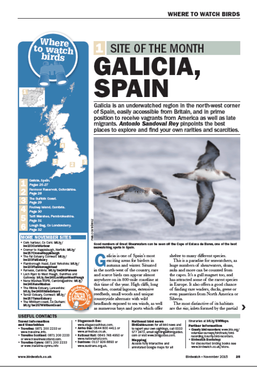 Turismo ornitológico